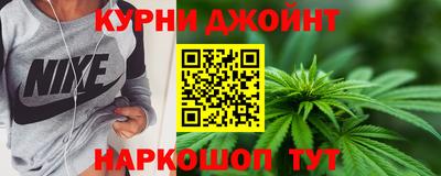 гашик Будённовск
