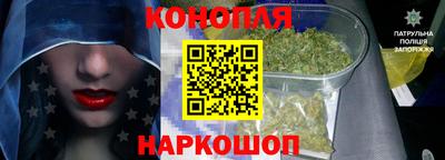 гашик Будённовск