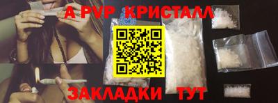гашик Будённовск