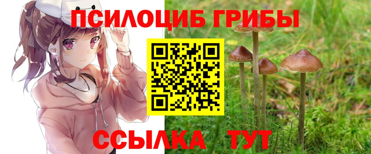 Галлюциногенные грибы прущие грибы  Вход с VPN  Новотроицк 